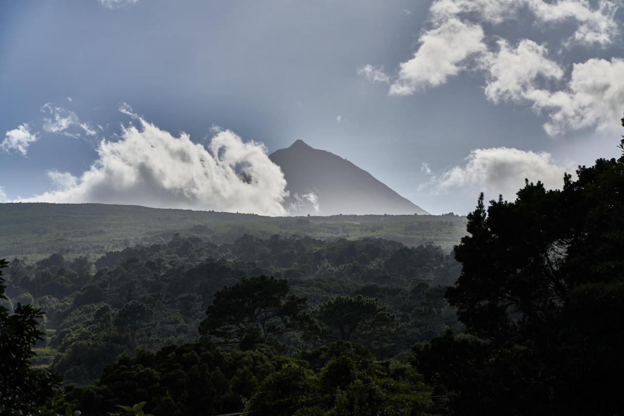 Villa 4 Seasons Sao Roque do Pico Luaran gambar